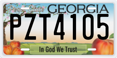 GA license plate PZT4105