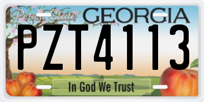 GA license plate PZT4113