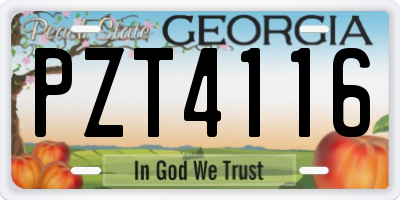 GA license plate PZT4116