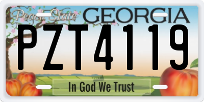 GA license plate PZT4119