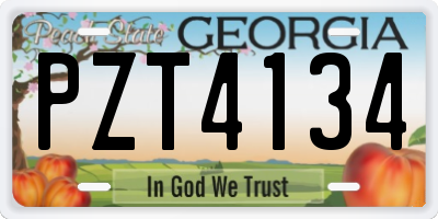 GA license plate PZT4134