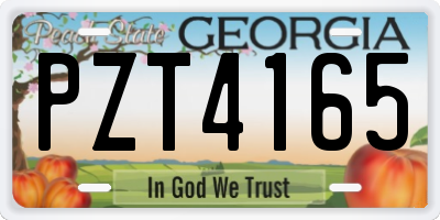 GA license plate PZT4165