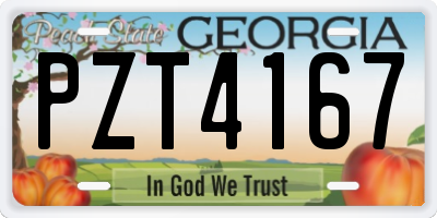 GA license plate PZT4167