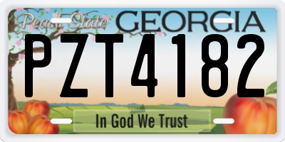 GA license plate PZT4182