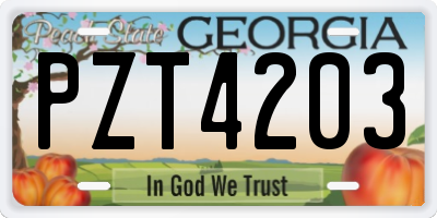 GA license plate PZT4203