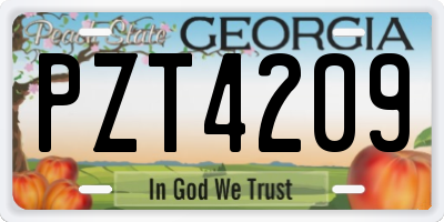 GA license plate PZT4209