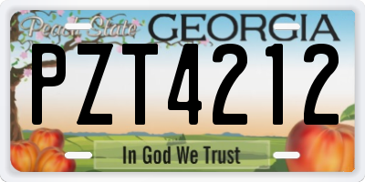 GA license plate PZT4212