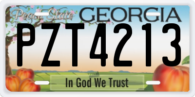 GA license plate PZT4213
