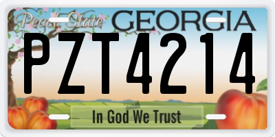 GA license plate PZT4214