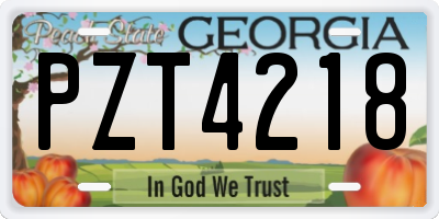 GA license plate PZT4218