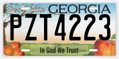 GA license plate PZT4223
