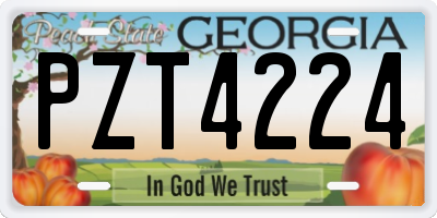 GA license plate PZT4224