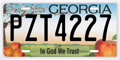 GA license plate PZT4227