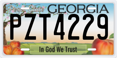 GA license plate PZT4229