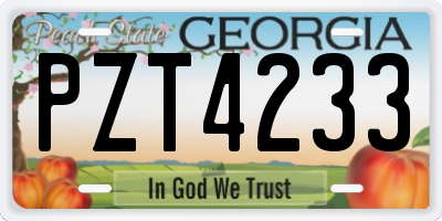 GA license plate PZT4233