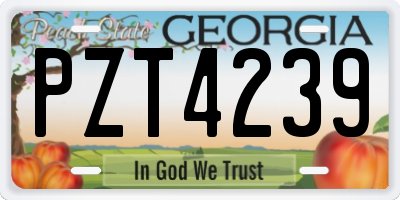 GA license plate PZT4239