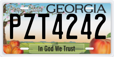 GA license plate PZT4242