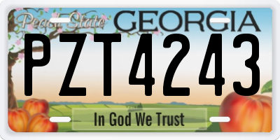 GA license plate PZT4243