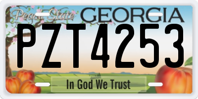 GA license plate PZT4253