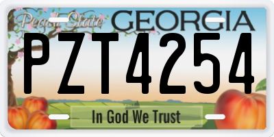 GA license plate PZT4254