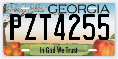 GA license plate PZT4255