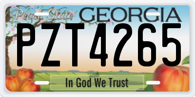 GA license plate PZT4265