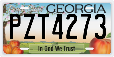 GA license plate PZT4273