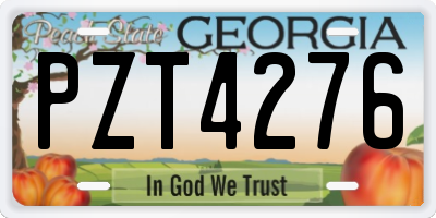 GA license plate PZT4276