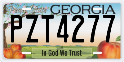 GA license plate PZT4277