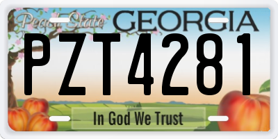 GA license plate PZT4281