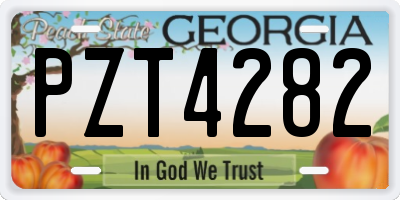 GA license plate PZT4282