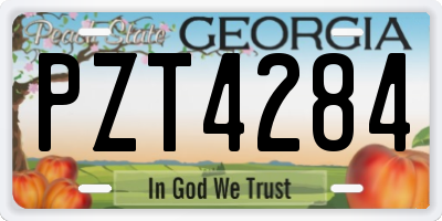 GA license plate PZT4284