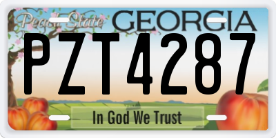 GA license plate PZT4287