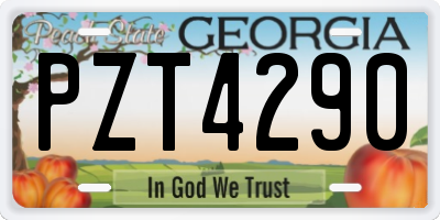 GA license plate PZT4290