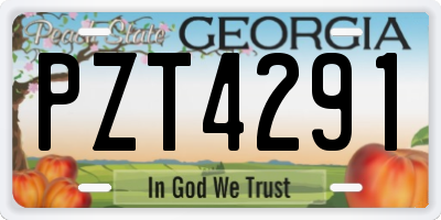 GA license plate PZT4291
