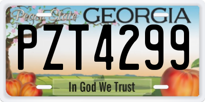 GA license plate PZT4299