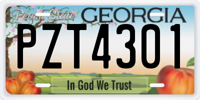 GA license plate PZT4301