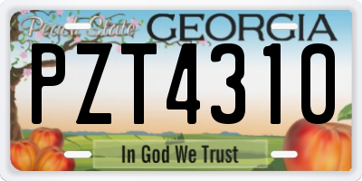 GA license plate PZT4310