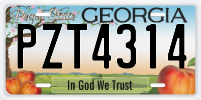 GA license plate PZT4314