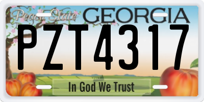 GA license plate PZT4317