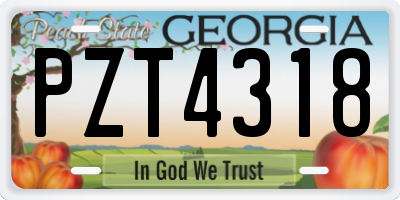 GA license plate PZT4318