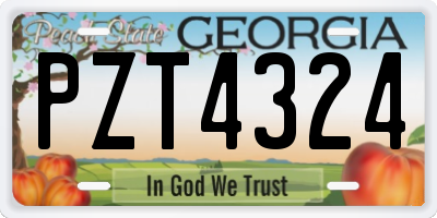 GA license plate PZT4324