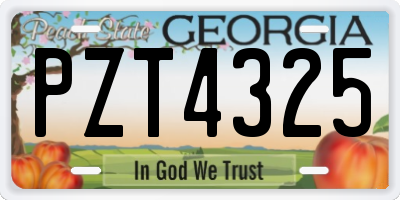GA license plate PZT4325