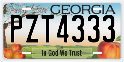 GA license plate PZT4333