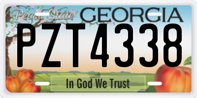 GA license plate PZT4338