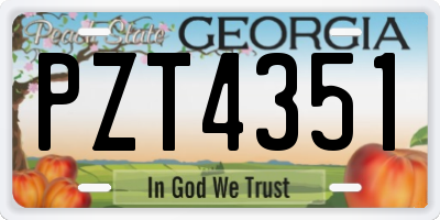 GA license plate PZT4351