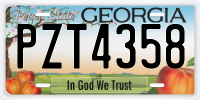 GA license plate PZT4358