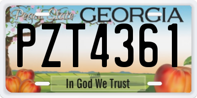 GA license plate PZT4361