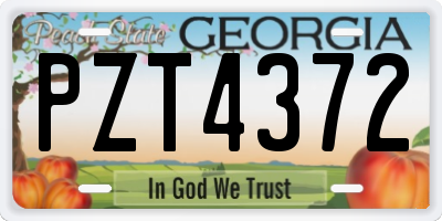 GA license plate PZT4372