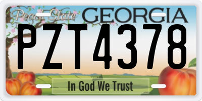 GA license plate PZT4378